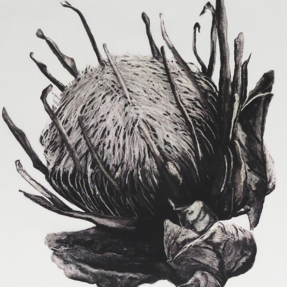 Black and white illustration of a flower on a white background