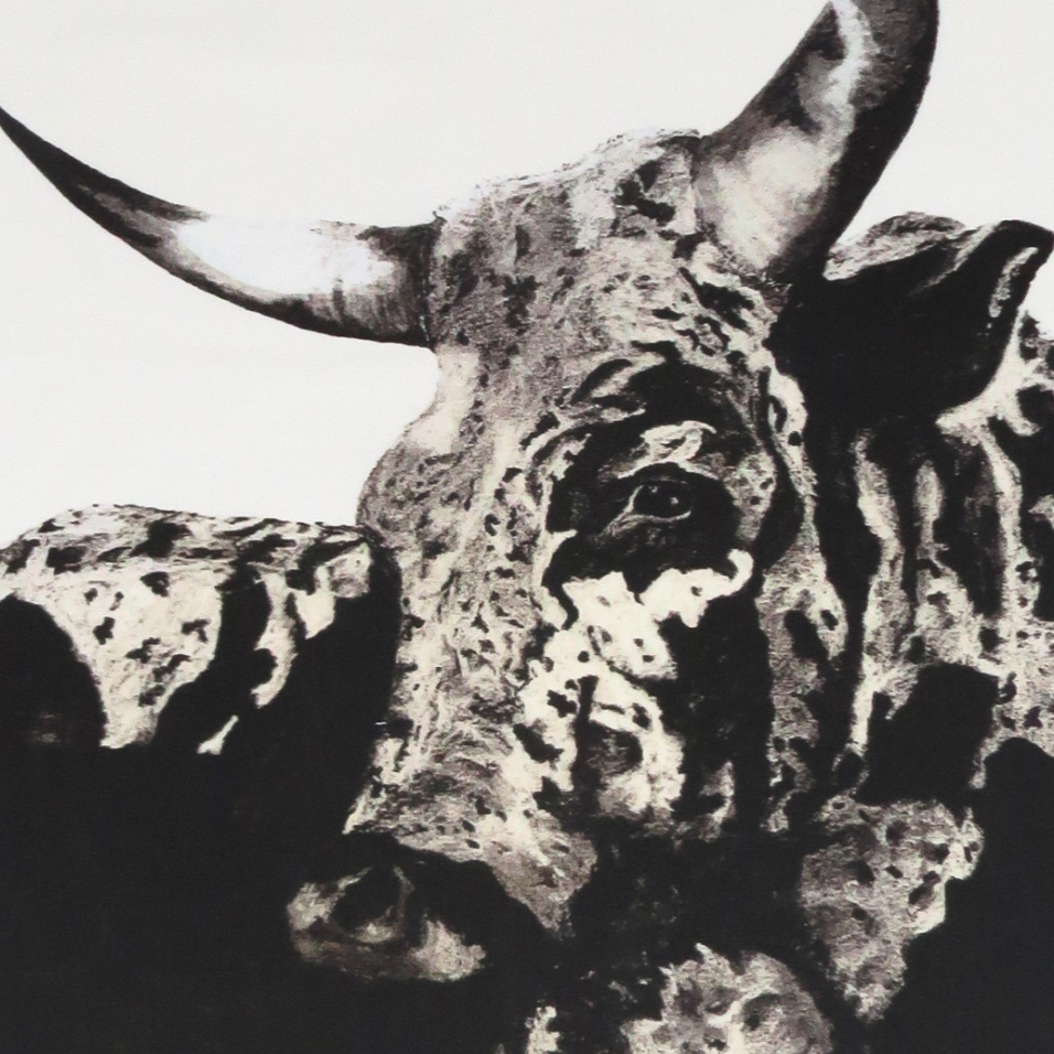 Black and white painting of a longhorn cow on a white background